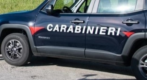 I CARABINIERI SVENTANO FURTO DI BESTIAME A SATRIANO DI LUCANIA